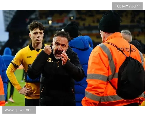 伯恩利与狼队对决数据分析揭示双方实力差距与战术特点