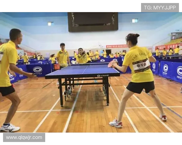 深圳乒乓球队团队协作引发热议争议背后的默契与挑战分析