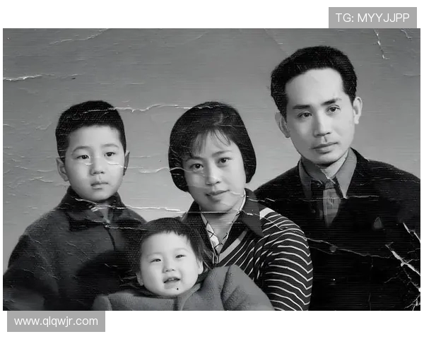 杨丽的乒乓球人生深度对话揭示奋斗与荣耀背后的故事