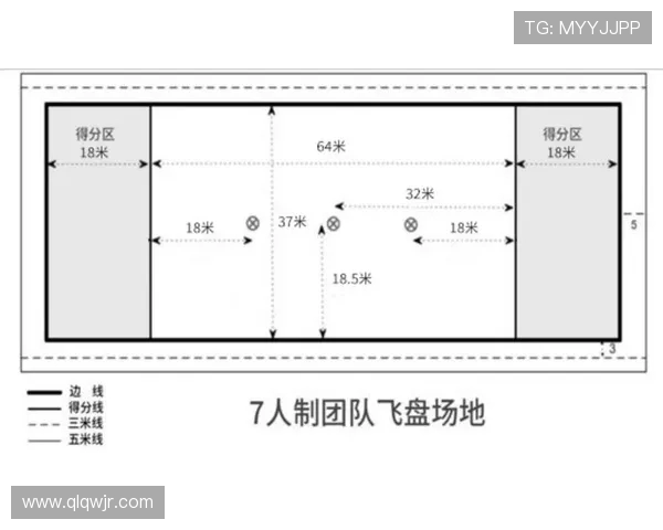 杭州飞盘队与深圳飞盘队赛后复盘分析比赛经验与战术调整探讨